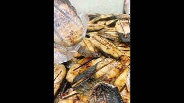 Cá Thu Nướng nghệ an chuẩn vị, Món Ngon Khó Cưỡng  #cathu #cathunuong #ca #phucfood #hai