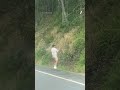 Moment Aussie rescues massive 10kg snake from middle of the road | #yahoonewsau