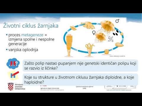 Video: Po čemu se životni ciklus paprati razlikuje od životnog ciklusa mahovine?