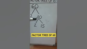 Factor tree of 60 #factorization #factortree