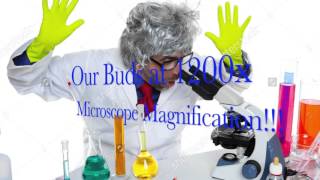 GJ Labs
