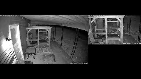 Reolink 81MA raccoon sample