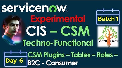 CIS - CSM Batch 1 | Day 6 | CSM Plugins - Tables - Role - B2C - Consumer