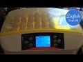 How to use HHD 32 - 56 Automatic egg incubator and solve problems? Egg incubation Part 1【4K】