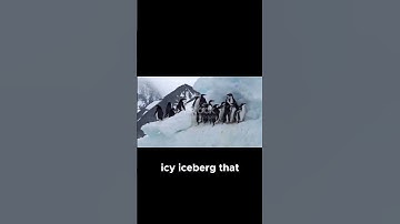 Meet Pip, Pop, and Pep  The Penguin Trio! #penguin  #animals  #animatedadventure #funny