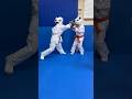 頑張れちびっ子 #bjj #柔術  #武道塾