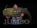 JUMBO Flathead Catfish: Mississippi River, Minnesota - Northwoods Angling