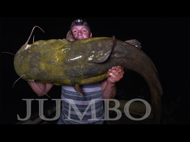 How to catch giant Mississippi River catfish