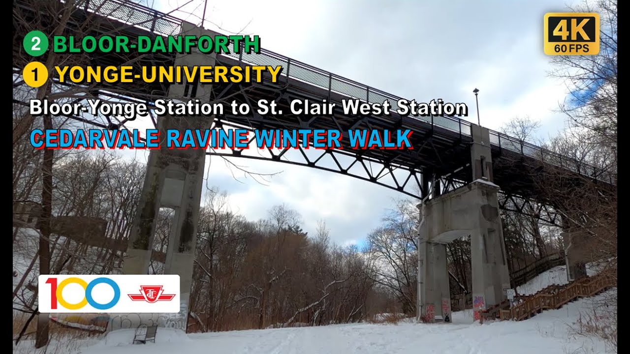 TTC POV Walk: Bloor-Yonge Station to St. Clair West Station + Cedarvale Ravine Winter Walk【4K 60FPS】