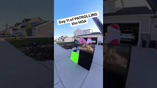 Day 8