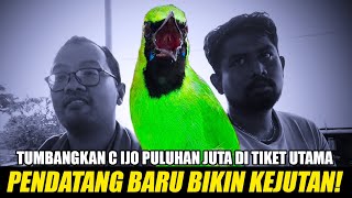 CUCAK IJO