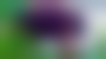 Chòi lục giác gỗ lim giá rẻ thi công lắp đặt toàn quốc 0924 59 3456