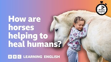 How are horses helping to heal humans? ⏲️ 6 Minute English