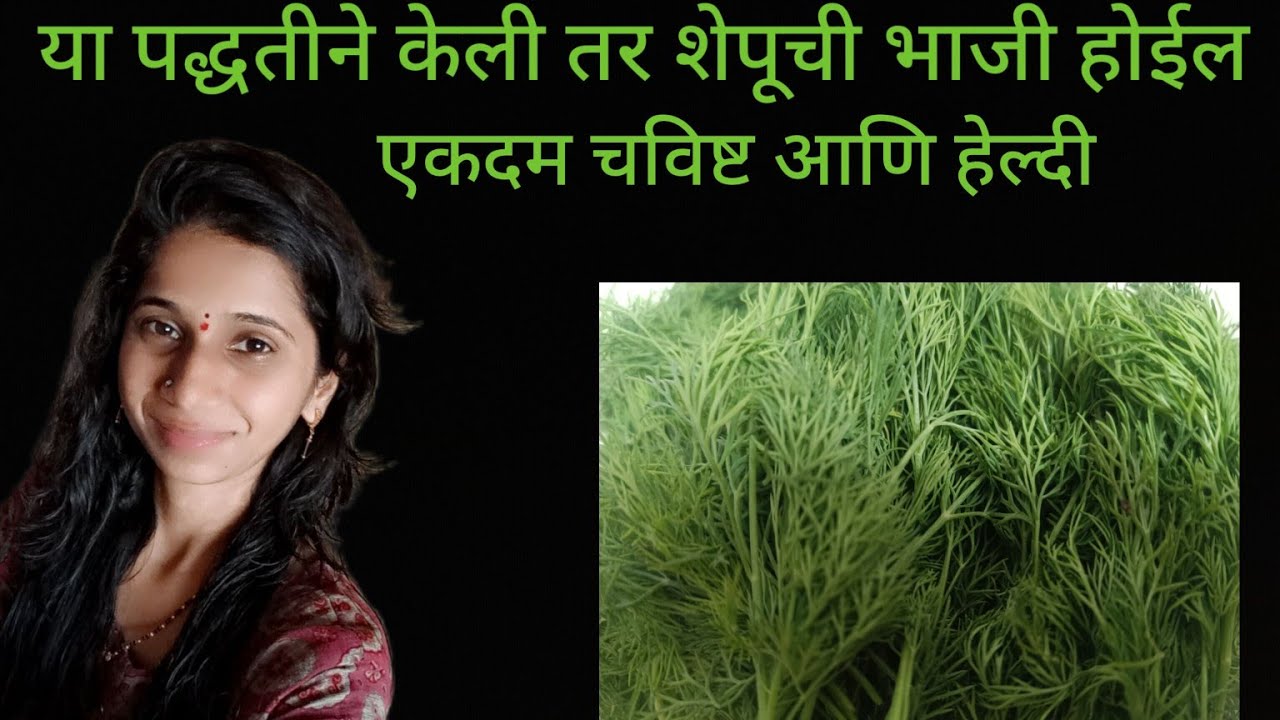 या पद्धतीने केली तर शेपूची भाजी होईल एकदम चविष्ट आणि हेल्दी |  Shepu chi bhaji receipe