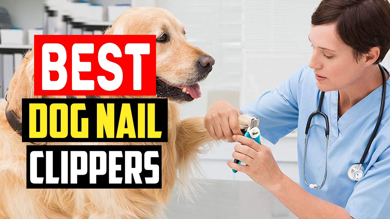 The 7 Best Dog Nail Clippers