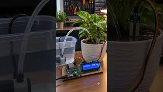 This ESP32 Knows Exactly When Your Plant Is Thirsty