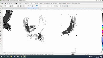 Corel Draw Tips & Tricks Clean up this Bitmap logo and flag