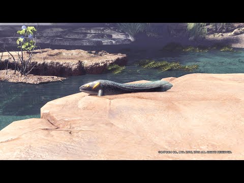 【目指せカンスト】ナキキノボリウオ編【環境生物の周回ルート】-モンスターハンターワールド：アイスボーン