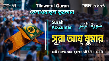 অত্যন্ত আবেগঘন কণ্ঠে সূরা আয্‌-যুমার | Surah Az-Zumar | سورة الزمر | আয়াত ৫৭-৬২ | ATR QURAN TILAWAT