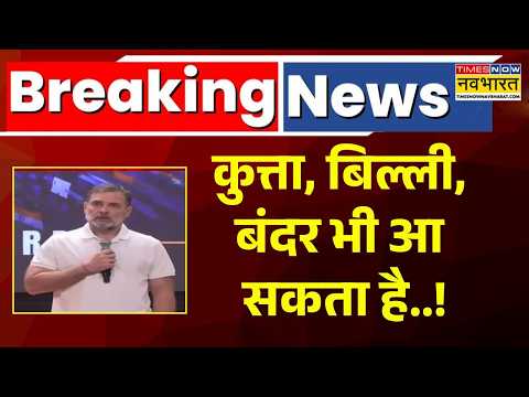 Rahul Gandhi Speech | कुत्ता, बिल्ली, बंदर भी आ सकते हैं! राहुल गांधी का ऐसा बयान नहीं सुना होगा!