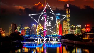 【纯享】林子祥-胡夏《数字人生》2021 我们的歌 | 动态歌词