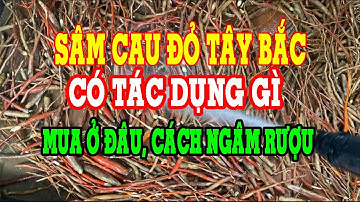 Sâm cau đỏ có tác dụng gì - Sâm cau đỏ ngâm rượu - Cách ngâm rượu sâm cau đỏ
