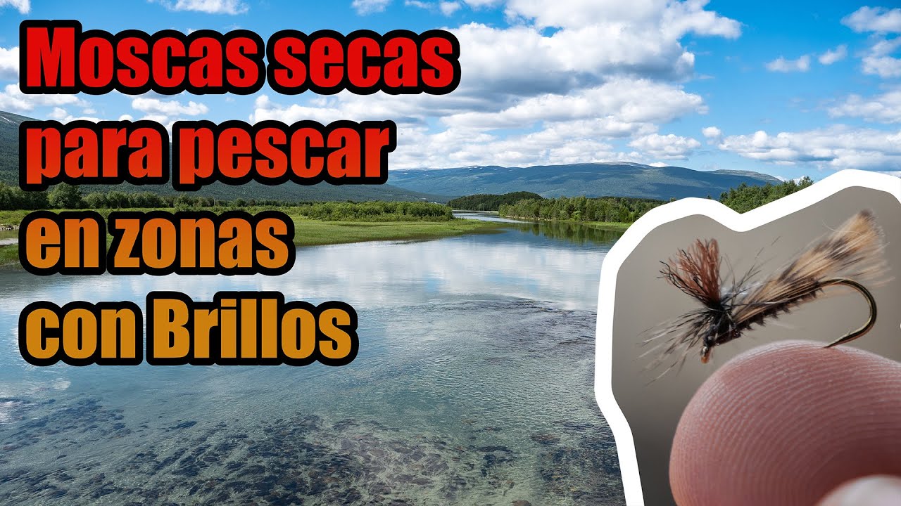 Moscas secas para pescar en zonas con brillos. The Fly Guide Cap5