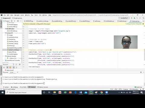 Final Project Code in Place 2020