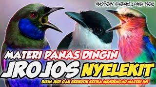 JURI MELOTOT!! MATERI JROJOS NYELEKIT MASTERAN BURUNG LOMBA VIRAL || MURAIBATU CUCAKIJO KACER CENDET