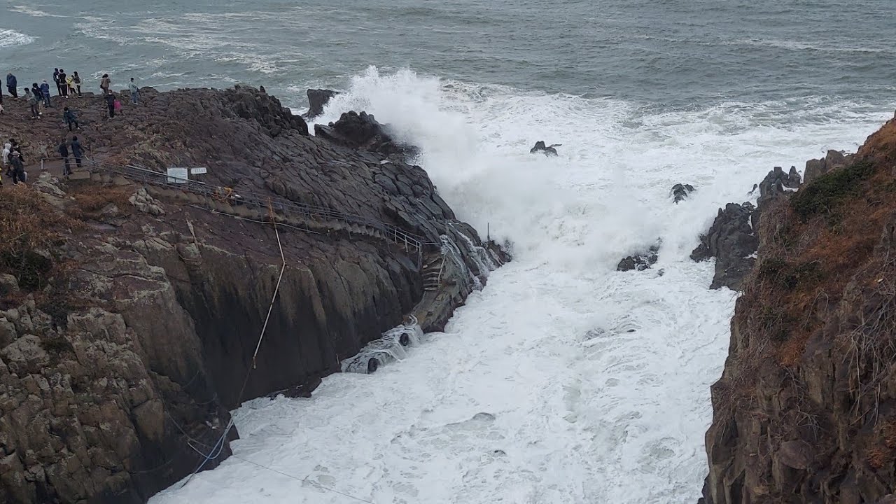 福井県ダイジェスト 風の杜と福井パレスホテル