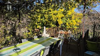 картинка: Домашний влог,всё как обычно.