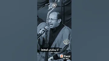 ومدحت بطيبه طه 