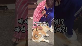 박서진 광고 촬영 현장!? 무슨 광고일까?! #박서진 #박서진뉴스 #박서진광고 #shorts
