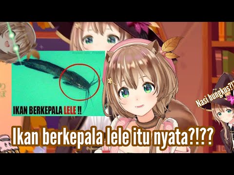 Risu tau ikan berkepala lele? [Ayunda Risu]