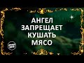 Ангел запрещает кушать мясо