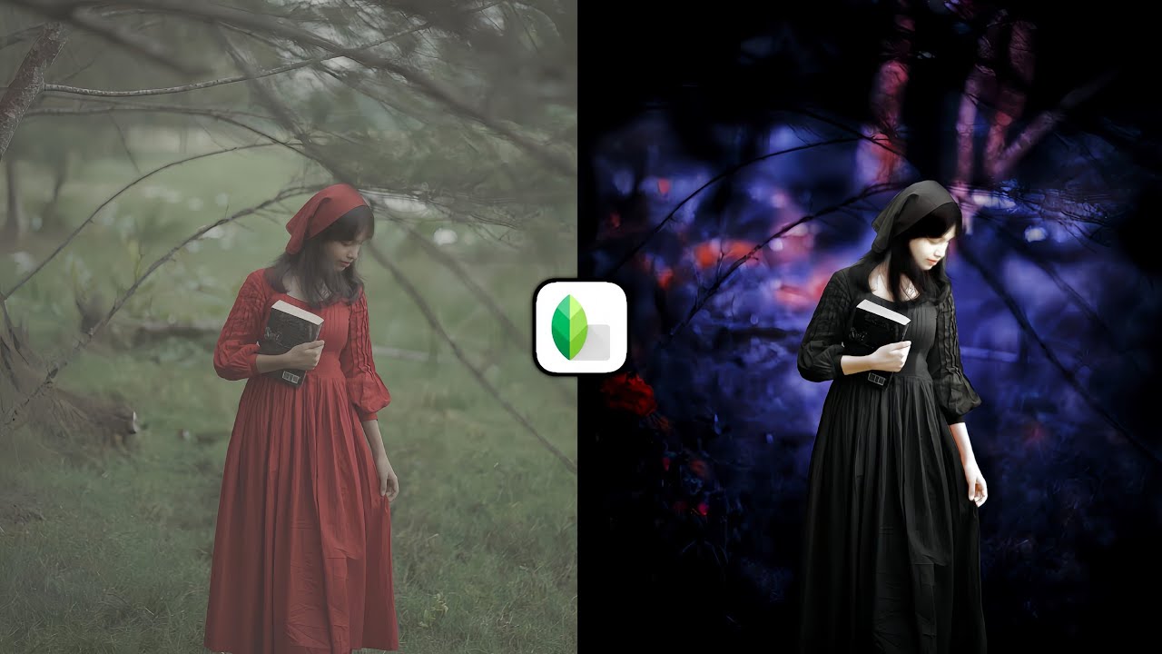 Dark Blue & Black Tone Color Grading 🔥| Snapseed Color Effect Photo Editing- Niraj Editz