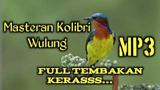 Masteran Kolibri Wulung MP3 | Full Tembakan Kerasss....