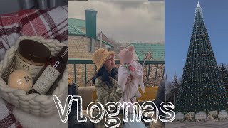 VLOGMAS/мои покупки и подарки/поездка к семье