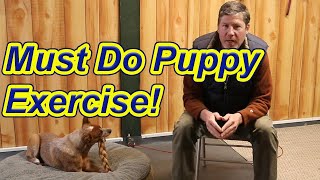 Must do Puppy Exercise- especially for resource guarders by My Dog Training Spot 2,442 views 3 years ago 4 minutes, 13 seconds