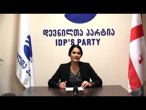 პაატა ზაქარეიშვილის უწყების ანგარიშის შეფასება