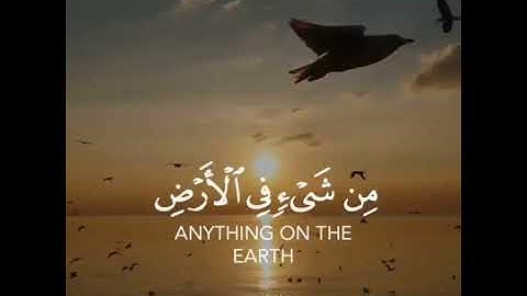 سورة إبراهيم قارئ طارق محمد