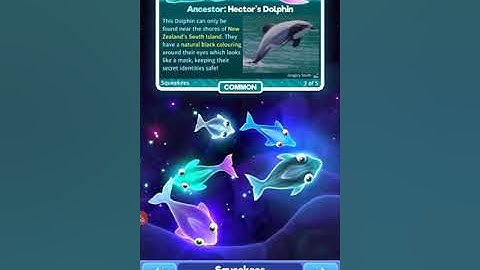 Super Starfish - All 66 Starfishes