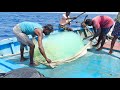 Fifth Day 💢❗We are caught Flying fishes in Deep Sea Fishing | Bait