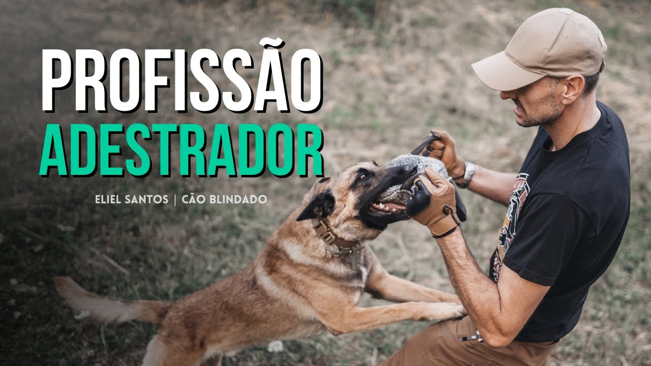 Como se Tornar um ADESTRADOR de CACHORROS | Eliel Santos – Cão Blindado