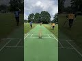 Live highlight