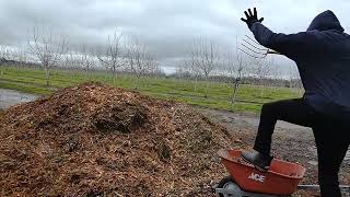 In Slow Motion of simple things makes it adorable. My first video edit here