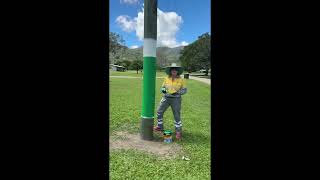 Jumbun power pole painting