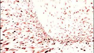 ❗FLASH WARNING❗Creeds   Push Up Luminatix Remix