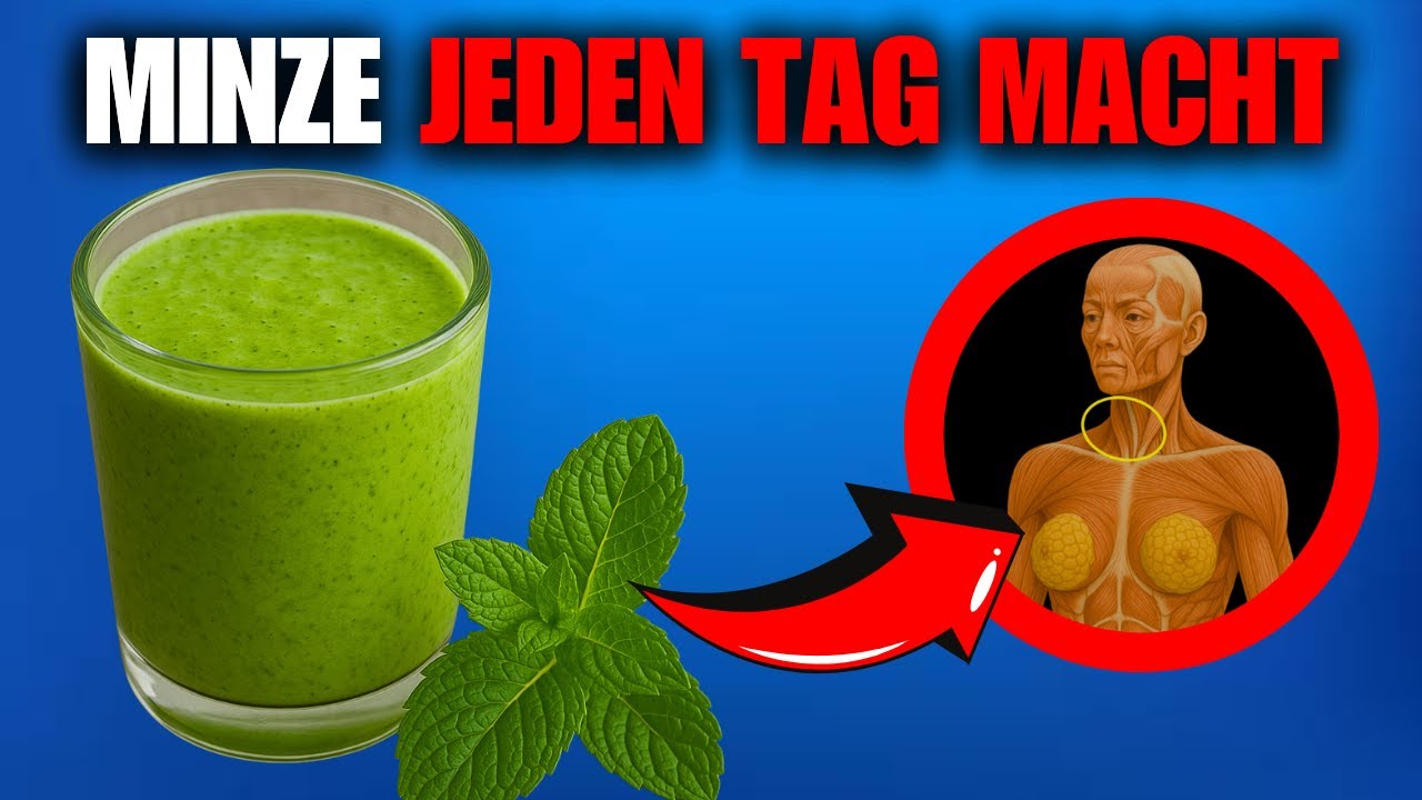 WUSSTEST DU DAS ÜBER MINZE? DAS PASSIERT MIT DEINEM KÖRPER, WENN DU SIE JEDEN TAG ISST!