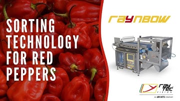 #Raynbow #sortingmachine for #redpeppers | RAYTEC VISION SpA